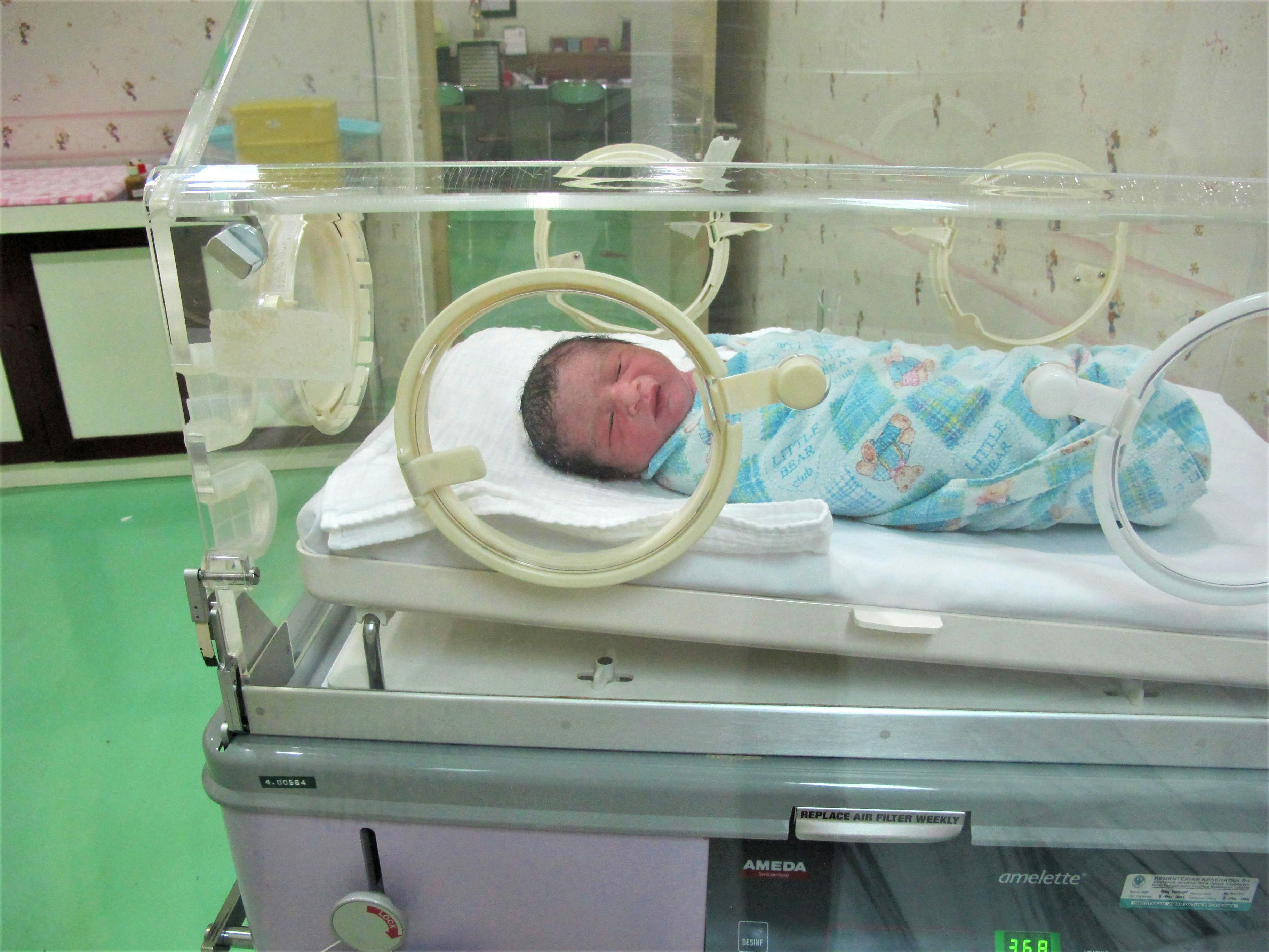 Neonatal Ventilator Support